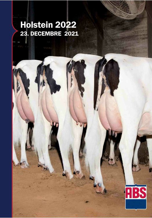 HolsteinHiver2022